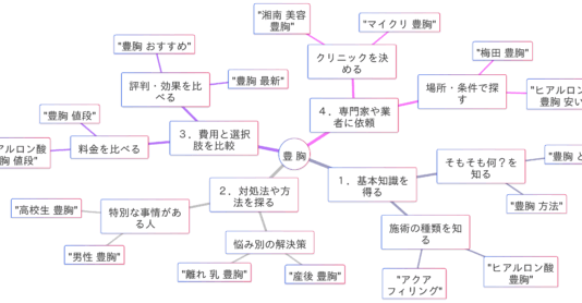 豊胸の検索キーワードに見る4つの検索意図マインドマップ